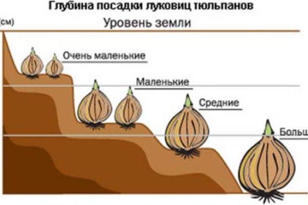 Пользователь не найден при входе на кракен