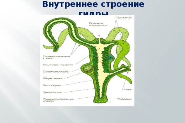 Кракен сайт пишет пользователь не найден