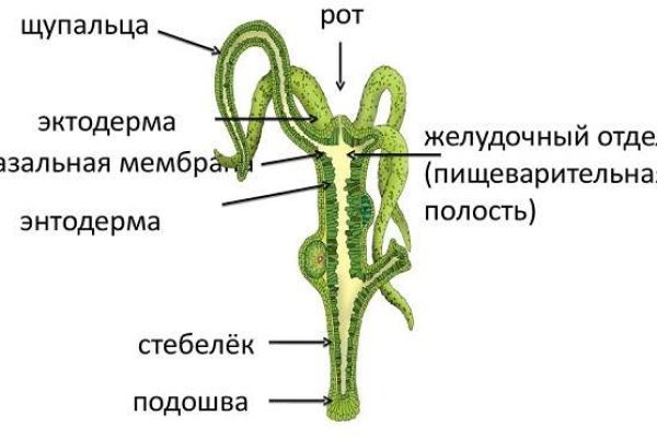 Ссылка на кракен онион